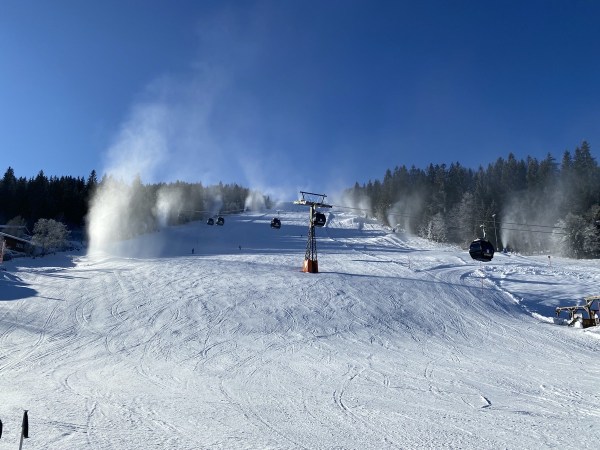 IMG_4913.jpeg IMG 4913