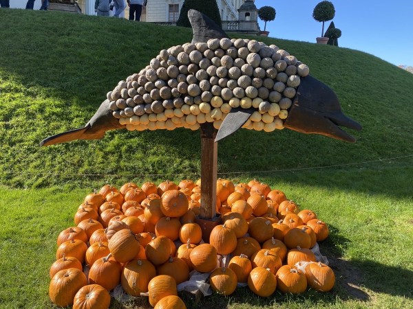 IMG_3287.jpeg IMG 3287