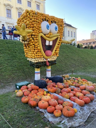 IMG_3288.jpeg IMG 3288