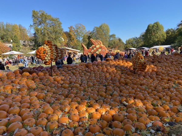 IMG_3294.jpeg IMG 3294