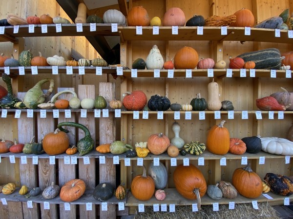 IMG_3298.jpeg IMG 3298