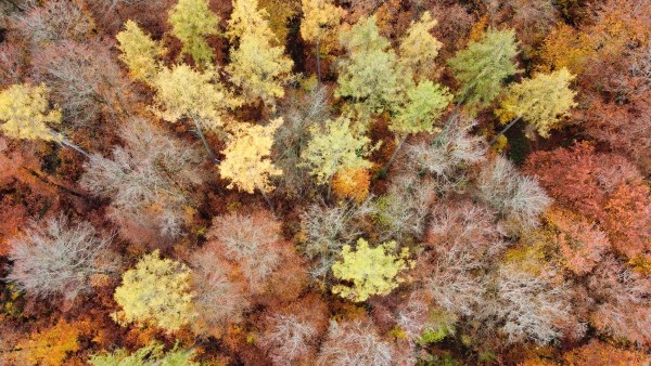 RemoteMediaFile_6554245_0_2021_11_14_14_02_22.jpg RemoteMediaFile 6554245 0 2021 11 14 14 02 22