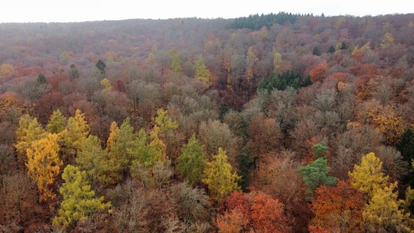 RemoteMediaFile_6554250_0_2021_11_14_14_06_42.jpg RemoteMediaFile 6554250 0 2021 11 14 14 06 42