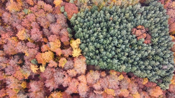 RemoteMediaFile_6554256_0_2021_11_14_14_08_38.jpg RemoteMediaFile 6554256 0 2021 11 14 14 08 38