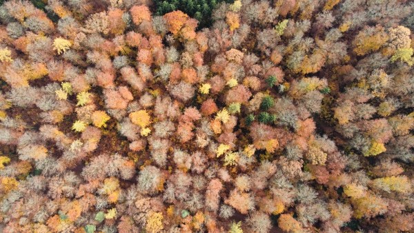 RemoteMediaFile_6554264_0_2021_11_14_14_09_48.jpg RemoteMediaFile 6554264 0 2021 11 14 14 09 48