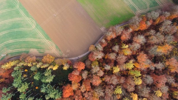 RemoteMediaFile_6554265_0_2021_11_14_14_10_36.jpg RemoteMediaFile 6554265 0 2021 11 14 14 10 36