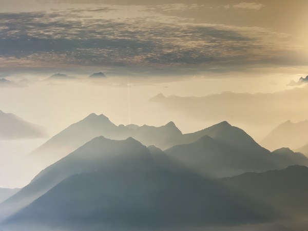 IMG_7926.jpeg IMG 7926