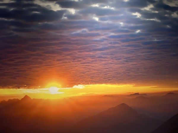 IMG_7930.jpeg IMG 7930