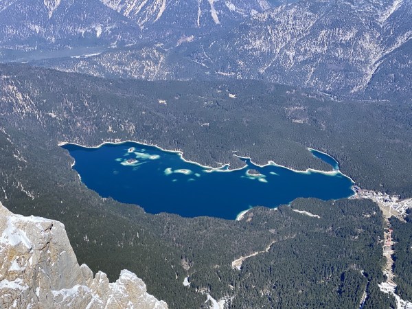 IMG_7982.jpeg IMG 7982