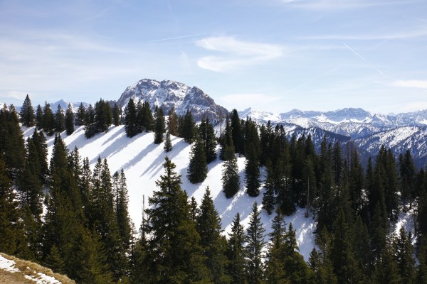 659592a55ed00096d050f47eeff23f88.jpg 659592a55ed00096d050f47eeff23f88