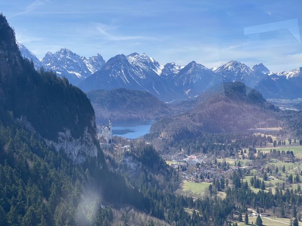 IMG_8105.jpeg IMG 8105