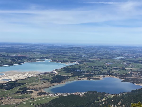 IMG_8108.jpeg IMG 8108