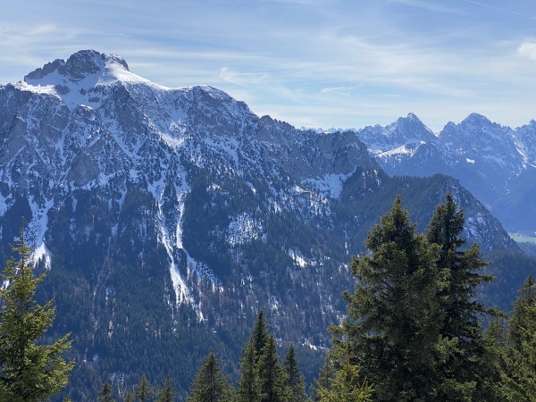 IMG_8128.jpeg IMG 8128